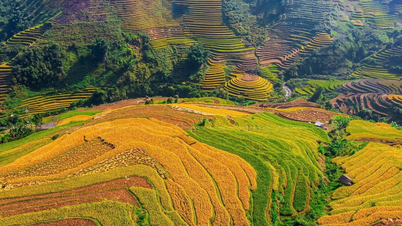 Pilne uzupełnienie raportu dotyczącego propozycji inwestycyjnej dla Narodowego Programu Celowego