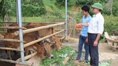 कृषि पद्धतियों में बदलाव लाकर हर साल करोड़ों कमाएँ