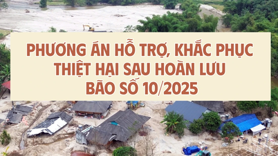 INFOGRAPHIC៖ ផែនការគាំទ្រដើម្បីជម្នះការខូចខាតបន្ទាប់ពីព្យុះលេខ ១០/២០២៥