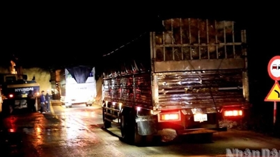 Lam Dong po 12 dnech znovu otevírá průsmyk Mimosa...