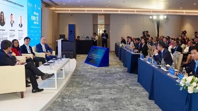 Uzman: Vietnam'daki işletmeler Excel'i hâlâ 'kral' olarak görüyor, yapay zekada ustalaşmak zor