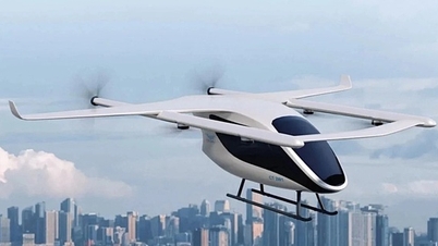 रणनीतिक प्रौद्योगिकी विकास: बाज़ार के रुझानों या "फैशनेबल" नामों पर निर्भर न रहें