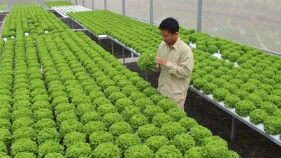 Pertanian berteknologi tinggi “membuka jalan” bagi pertumbuhan