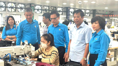 Bantu anggota serikat pekerja dan pekerja mengatasi kesulitan