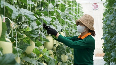 Prevê-se que se torne um centro agrícola de alta tecnologia no Sudeste Asiático.