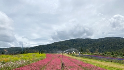 45 days to approve ecotourism project