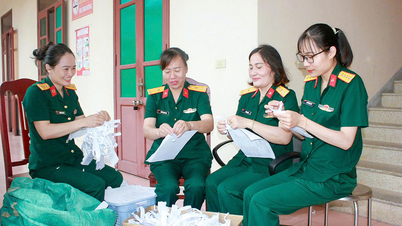 Solid expertise, active in the movement