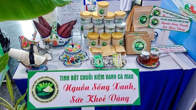 Enhance the value of banana products