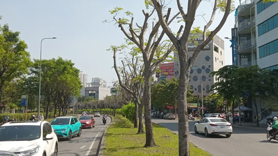 La taille excessive laisse des zones vertes dénudées.