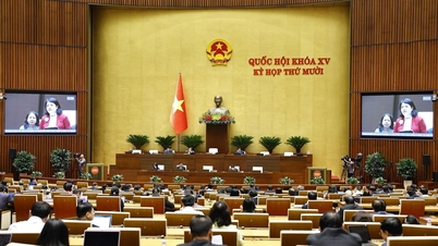 Le 1er décembre, l'Assemblée nationale a poursuivi l'examen des projets de loi.
