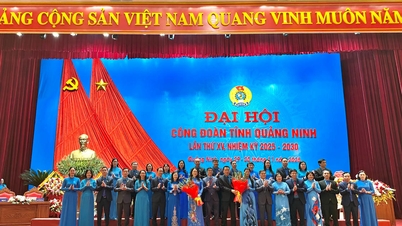 Mr. To Xuan Thao was re-elected as Chairman of the Quang Ninh Provincial Labor Federation.