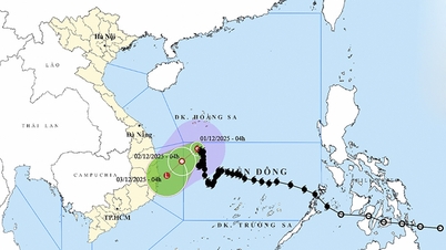 ১ ডিসেম্বরের আবহাওয়া: ১৫ নম্বর ঝড় ধীরে ধীরে দুর্বল হচ্ছে, উচ্চ ঢেউ এবং তীব্র বাতাসের সতর্কতা