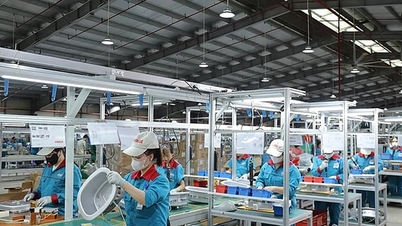 ২০২৫ সালের ৮.৩-৮.৫% প্রবৃদ্ধির লক্ষ্যমাত্রা অর্জনের জন্য: