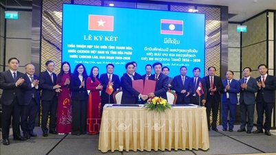 ভিয়েতনাম এবং লাওসের স্থানীয় অঞ্চলগুলির মধ্যে সহযোগিতা জোরদার করা