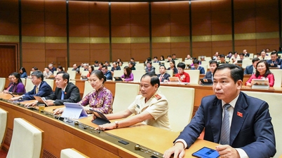 Ferrocarril de alta velocidad Norte-Sur: Hay que asegurar la victoria