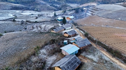 پیش‌بینی می‌شود منطقه کوهستانی شمالی در معرض خطر یخبندان باشد، طوفان شماره ۱۵ ضعیف‌تر می‌شود