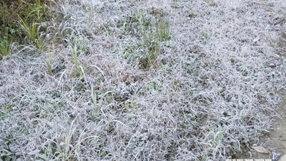 Nhiệt độ xuống dưới 0°C, băng giá xuất hiện tại xã Na Ngoi