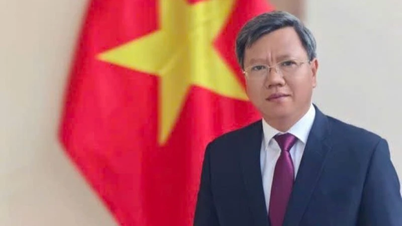 稀有で、忠実で、模範的な関係