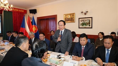 Hai Phong söker samarbetsmöjligheter och främjar tvåvägsinvesteringar i Tjeckien