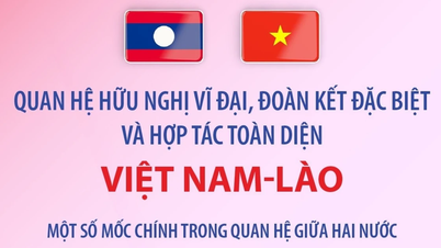 베트남과 라오스 간의 위대한 우정, 특별한 연대 및 포괄적 협력