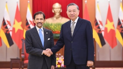 Generalsekreteraren föreslår att Brunei stärker det maritima samarbetet och bekämpar IUU-fiske