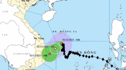 Stormen Koto nedgraderad till nivå 8, "styr" mot fastlandet
