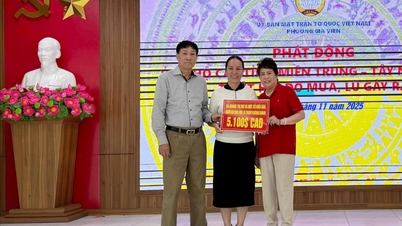 Gia Vien Ward는 홍수 피해자 지원을 위한 호소를 효과적으로 이행합니다.