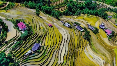 ادغام برای ایجاد هم‌افزایی و توسعه