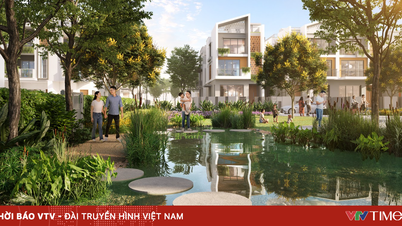 "Giá trị kép" trong đầu tư bất động sản