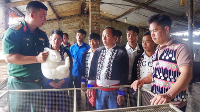 Допомога людям влаштуватися та заробити на життя в прикордонних районах