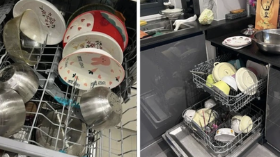 चीन में डिशवॉशर की अजीब यात्रा