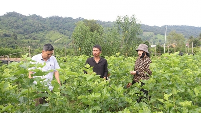 Gmina Nam Ka: Promowanie efektywnego zarządzania i wykorzystania zasobów w celu redukcji ubóstwa