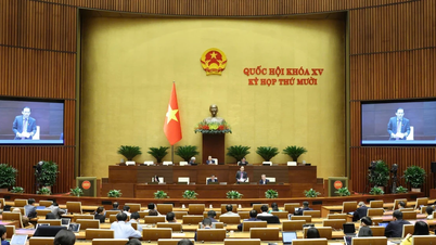 Az Országgyűlés számos fontos témát tárgyalt meg a 7. munkahéten, a 10. ülésszakon.