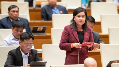 Návrh zákona, kterým se mění a doplňuje řada článků zákona o územním plánování měst a venkova, objasnění urbanistické povahy v systému územního plánování