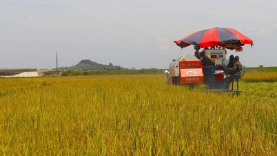 Landbouw - Een basis voor duurzame armoedebestrijding