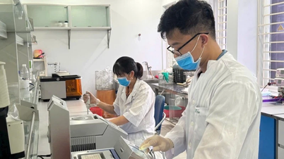 Avanços nas políticas públicas motivam cientistas