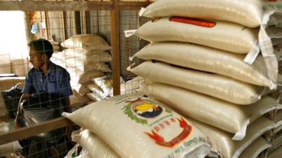 아시아 쌀 수요 감소, 기업들 시장 방향성 적극 전환