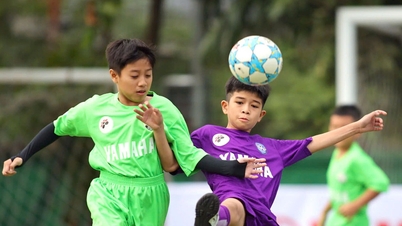 فازت مدرسة نجوين فان لونغ ببطولة كرة القدم للأطفال على المستوى الياباني للمرة الثانية.