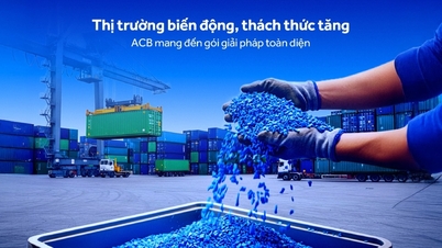 Starkes Wachstum des ausländischen Direktinvestitionskapitals, Chance für die vietnamesische Kunststoffindustrie zur Transformation