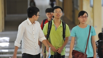 Um ihr volles Potenzial entfalten zu können, sind geeignete politische Mechanismen erforderlich.