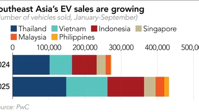VinFast jest liderem w dziedzinie pojazdów elektrycznych w ASEAN, podczas gdy pojazdy benzynowe stoją w miejscu
