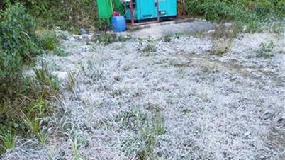 សាយសត្វលេចឡើង ឆ្មាំព្រំដែនគាំទ្រប្រជាជននៅតំបន់ខ្ពង់រាបដើម្បីការពារ និងប្រយុទ្ធប្រឆាំងនឹងជំងឺផ្តាសាយ