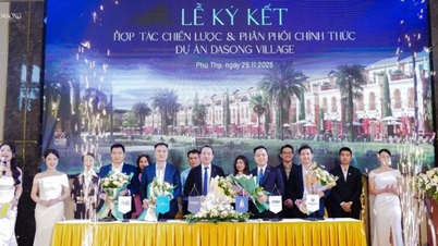 MSH Group, Dat Xanh Mien Bac, Trung Thuc Land, AHS Property Alliance បានចុះហត្ថលេខាជាផ្លូវការលើកិច្ចព្រមព្រៀងសហប្រតិបត្តិការជាយុទ្ធសាស្ត្រដើម្បីចែកចាយគម្រោងភូមិ Dasong។