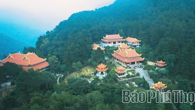 Truc Lam Tay Thien Zen Monastery: ویتنامی بدھ مت کے ماخذ کو زندہ کرنا