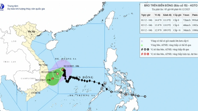 ខ្យល់ព្យុះលេខ ១៥ កំពុងចុះខ្សោយនៅតំបន់ភាគពាយ័ព្យនៃសមុទ្រខាងកើត។