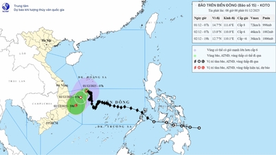 Burza nr 15 powoduje wzburzone morze w centralnej części Morza Wschodniego, statki muszą zachować szczególną czujność