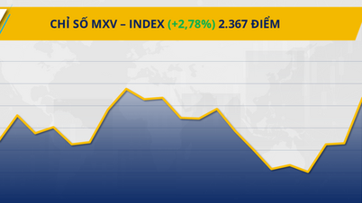 Die Kaufkraft breitet sich am Markt aus, der MXV-Index erholt sich.