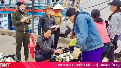 Od rybářských revírů po rýžová pole, Ha Tinh vstupuje do vrcholné produkční sezóny na konci roku.