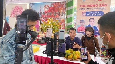 جلب التخصصات المرتفعة إلى الفضاء الرقمي