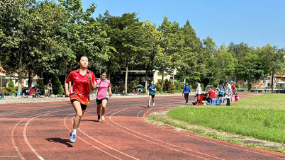 Restructurarea instituțiilor culturale și sportive de la nivel local - Partea a 2-a: Instituții stabile, dar totuși... mecanisme defectuoase